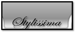 Stylissima logo